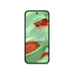 Google Pixel 9 256GB Unlocked Wintergreen (Imported)